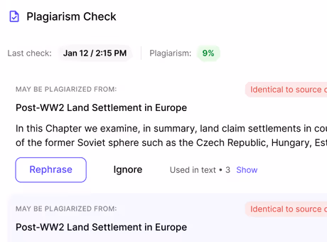 Litero AI's plagiarism checker showing 9% similarity with options to rephrase or ignore flagged text.